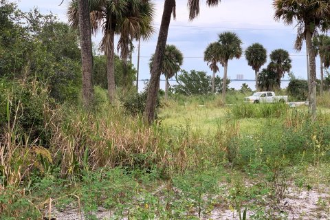 Terrain à vendre à Fort Pierce, Floride № 115126 - photo 6