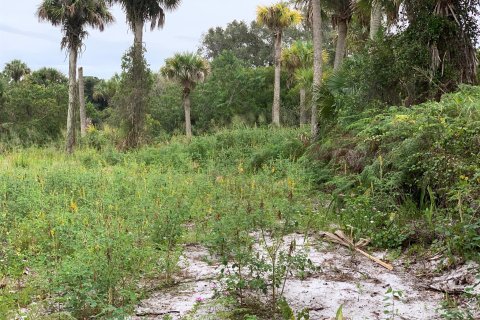 Terrain à vendre à Fort Pierce, Floride № 115126 - photo 4