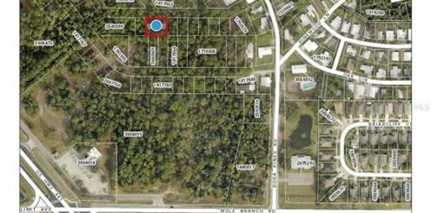 Terreno en Mount Dora, Florida № 1336056