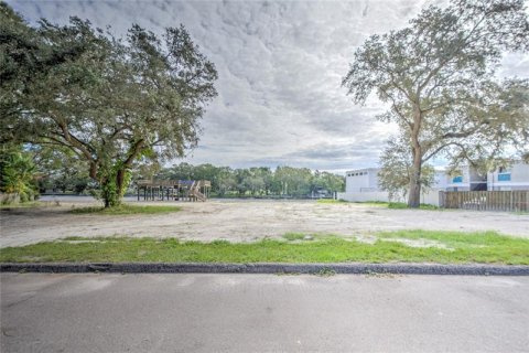 Купить земельный участок в Тампа, Флорида № 226611 - фото 23