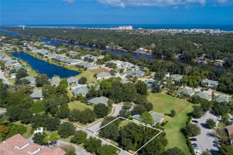 Land in Palm Coast, Florida № 1190395 - photo 4
