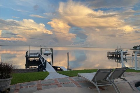 Villa ou maison à vendre à Palm Harbor, Floride: 4 chambres, 386.75 m2 № 1350117 - photo 5