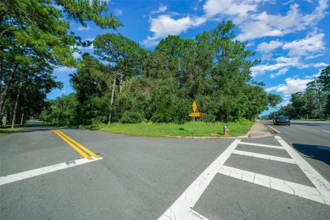 Land in Ocala, Florida № 1390827 - photo 1