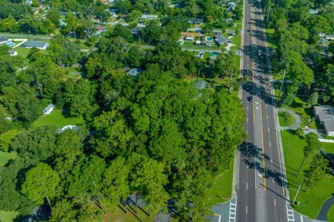 Land in Ocala, Florida № 1390827 - photo 15