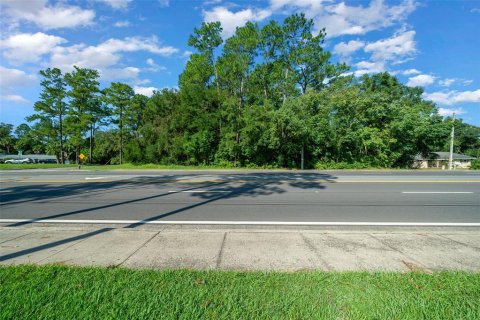 Terrain à vendre à Ocala, Floride № 1390827 - photo 6