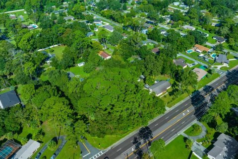 Land in Ocala, Florida № 1390827 - photo 18