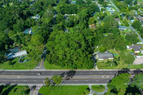 Land in Ocala, Florida № 1390827 - photo 17