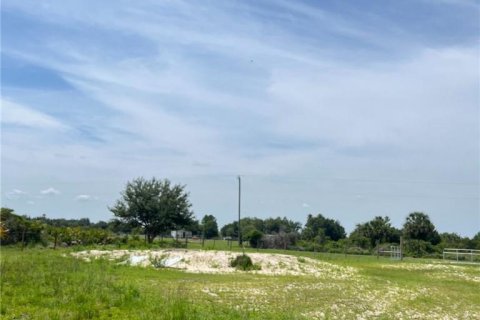 Купить земельный участок в Окичоби, Флорида № 543627 - фото 3