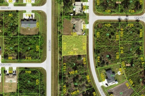 Land in Port Charlotte, Florida № 1382823 - photo 1