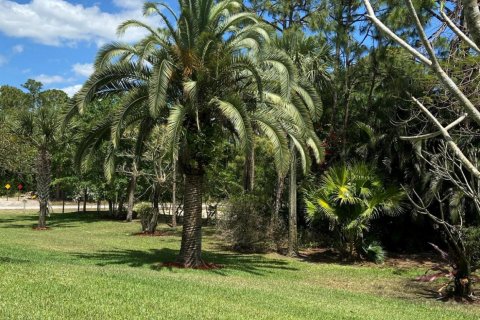 Villa ou maison à vendre à Loxahatchee Groves, Floride: 5 chambres, 278.8 m2 № 1136540 - photo 10