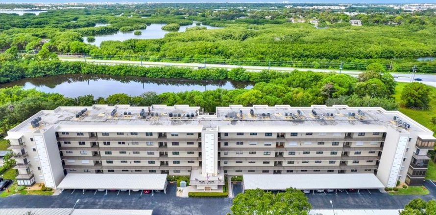 Condo in Saint Petersburg, Florida, 2 bedrooms  № 1371088