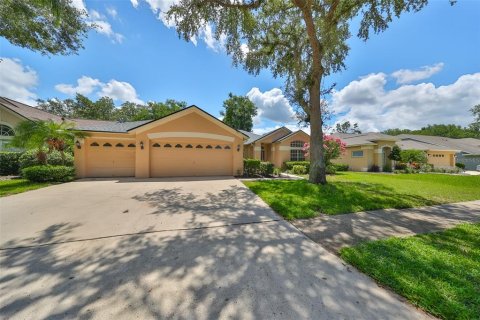 Villa ou maison à vendre à Valrico, Floride: 5 chambres, 228.54 m2 № 1260237 - photo 1