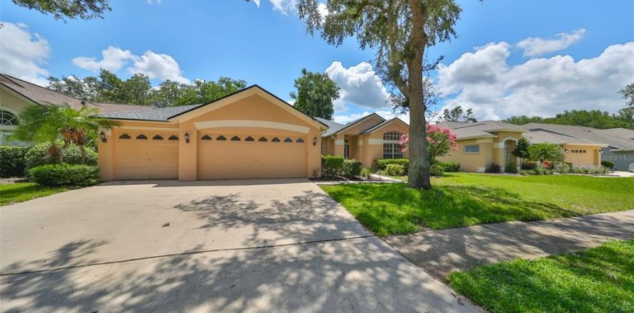 Villa ou maison à Valrico, Floride 5 chambres, 228.54 m2 № 1260237