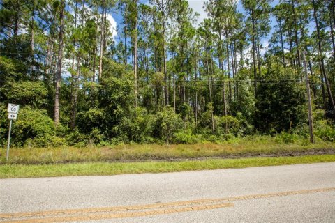 Terrain à vendre à Starke, Floride № 1339914 - photo 3