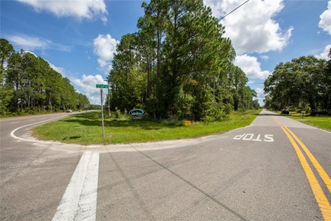 Land in Starke, Florida № 1339914 - photo 5