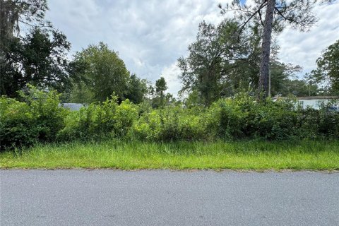 Land in Kissimmee, Florida № 1333995 - photo 1