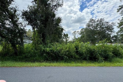 Land in Kissimmee, Florida № 1333995 - photo 2