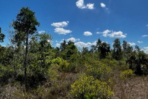 Terreno en venta en Punta Gorda, Florida № 1249152 - foto 11