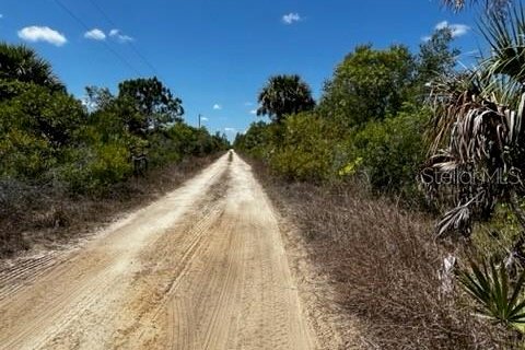 Land in Punta Gorda, Florida № 1249152 - photo 5