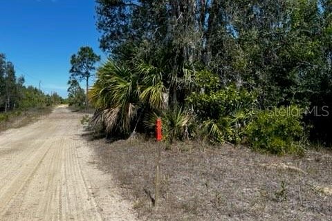 Terreno en venta en Punta Gorda, Florida № 1249152 - foto 7