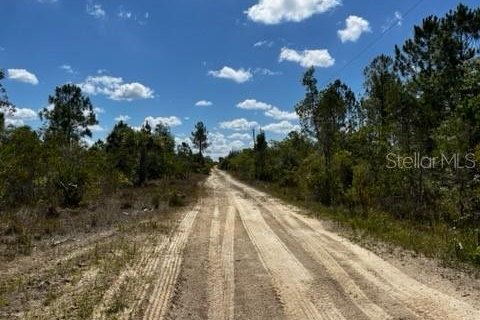 Terrain à vendre à Punta Gorda, Floride № 1249152 - photo 6