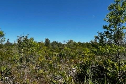 Terreno en venta en Punta Gorda, Florida № 1249152 - foto 14