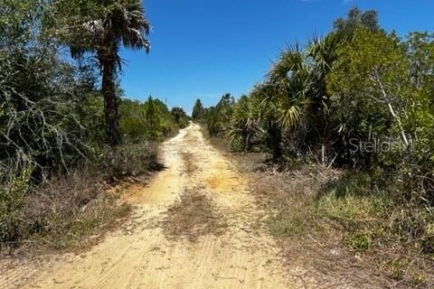 Terreno en venta en Punta Gorda, Florida № 1249152 - foto 10