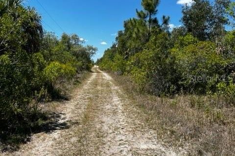 Terrain à vendre à Punta Gorda, Floride № 1249152 - photo 8