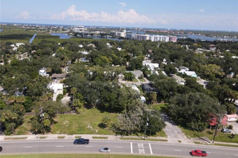 Land in New Smyrna Beach, Florida № 1375334 - photo 7