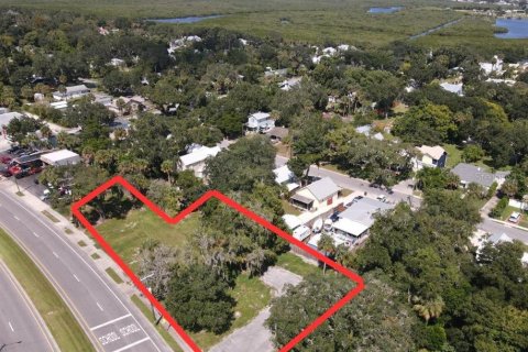 Terreno en venta en New Smyrna Beach, Florida № 1375334 - foto 3