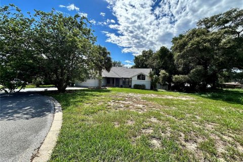 Villa ou maison à vendre à Eustis, Floride: 3 chambres, 157.38 m2 № 1343478 - photo 2