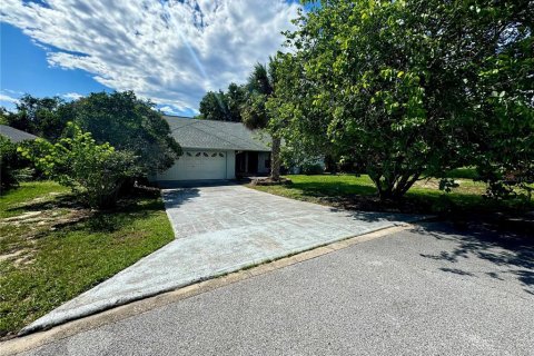 Villa ou maison à vendre à Eustis, Floride: 3 chambres, 157.38 m2 № 1343478 - photo 1