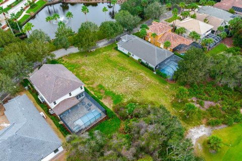 Купить земельный участок в Палм-Кост, Флорида № 879759 - фото 25