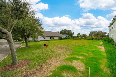 Купить земельный участок в Палм-Кост, Флорида № 879759 - фото 5