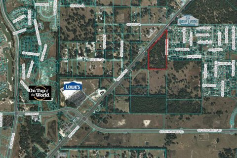 Land in Ocala, Florida 3 bedrooms № 230165 - photo 4