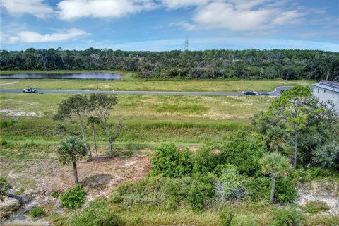 Terreno en venta en Flagler Beach, Florida № 1339136 - foto 19