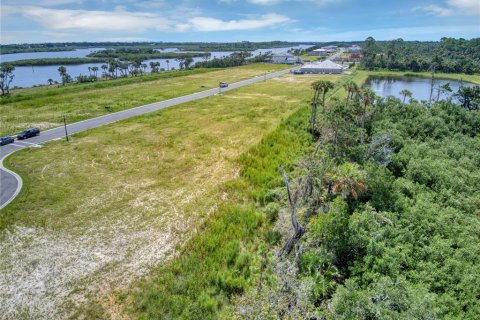 Land in Flagler Beach, Florida № 1339135 - photo 16