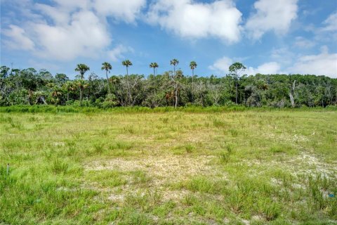 Terreno en venta en Flagler Beach, Florida № 1339135 - foto 18