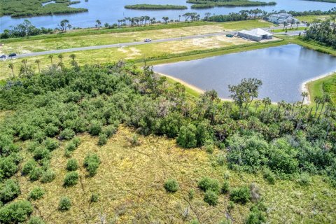 Land in Flagler Beach, Florida № 1339135 - photo 20