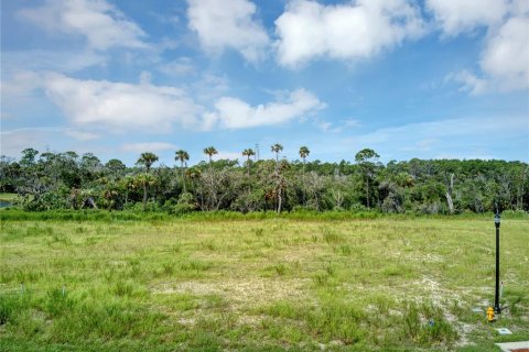 Land in Flagler Beach, Florida № 1339135 - photo 13