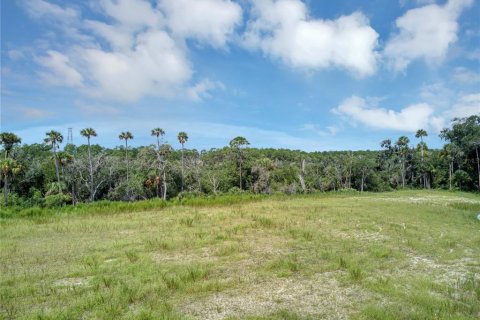 Land in Flagler Beach, Florida № 1339135 - photo 19