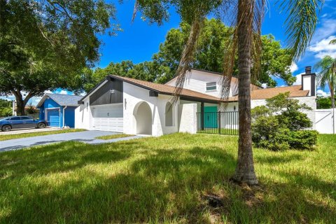 Villa ou maison à vendre à Tampa, Floride: 7 chambres, 270.44 m2 № 1339548 - photo 4