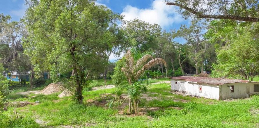 Terrain à Apopka, Floride № 789420