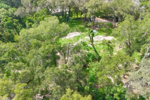 Terrain à vendre à Apopka, Floride № 789420 - photo 10