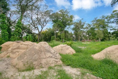 Terrain à vendre à Apopka, Floride № 789420 - photo 4