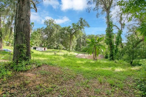 Land in Apopka, Florida № 789420 - photo 2