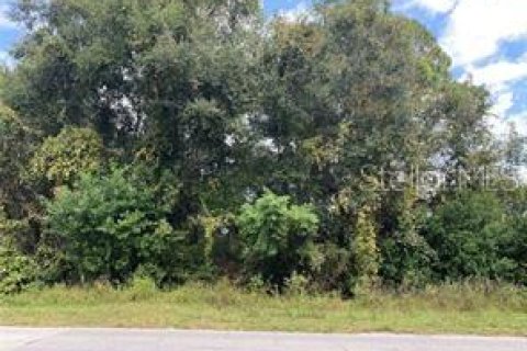 Купить земельный участок в Делтона, Флорида № 888768 - фото 1