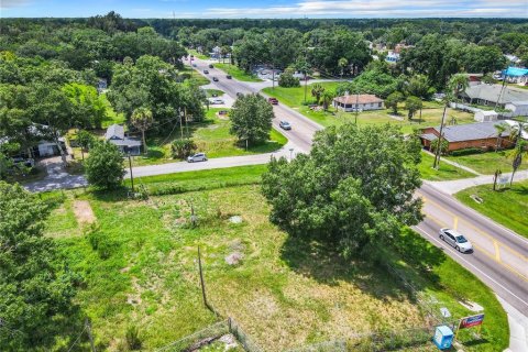 Terreno en venta en Intercession City, Florida № 1299820 - foto 19