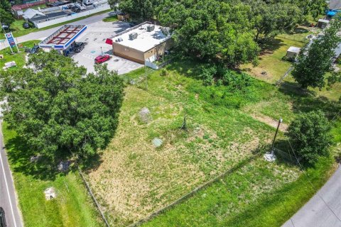 Terreno en venta en Intercession City, Florida № 1299820 - foto 17