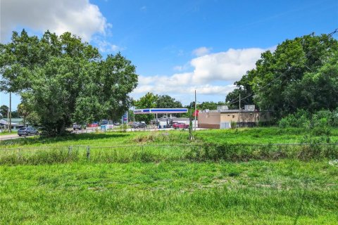 Terreno en venta en Intercession City, Florida № 1299820 - foto 13